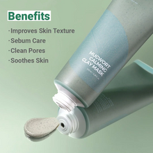 Load image into Gallery viewer, ISNTREE Real Mugwort Clay Mask 100ml