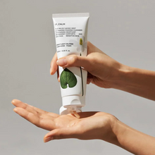 Load image into Gallery viewer, HUE_CALM Heartleaf Calming Cleansing Foam 120ml